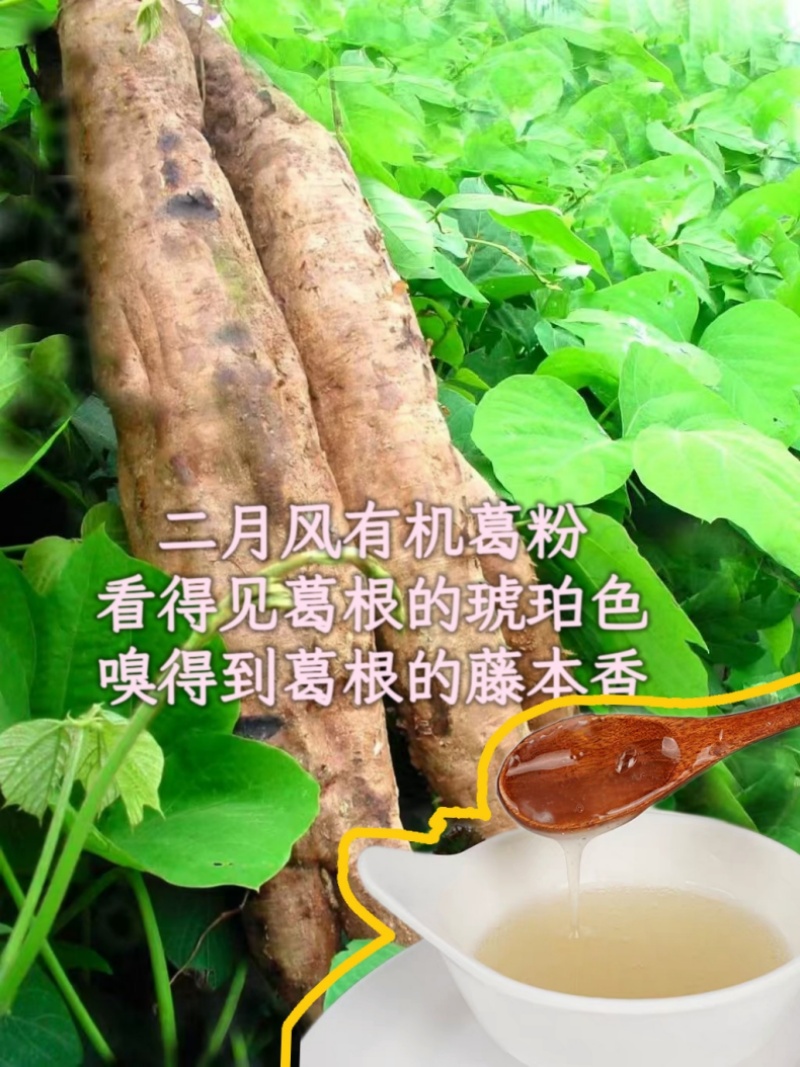 二月風(fēng)有機(jī)葛粉，看得見(jiàn)葛根的琥珀色，嗅得到葛根的藤本香_800.jpg
