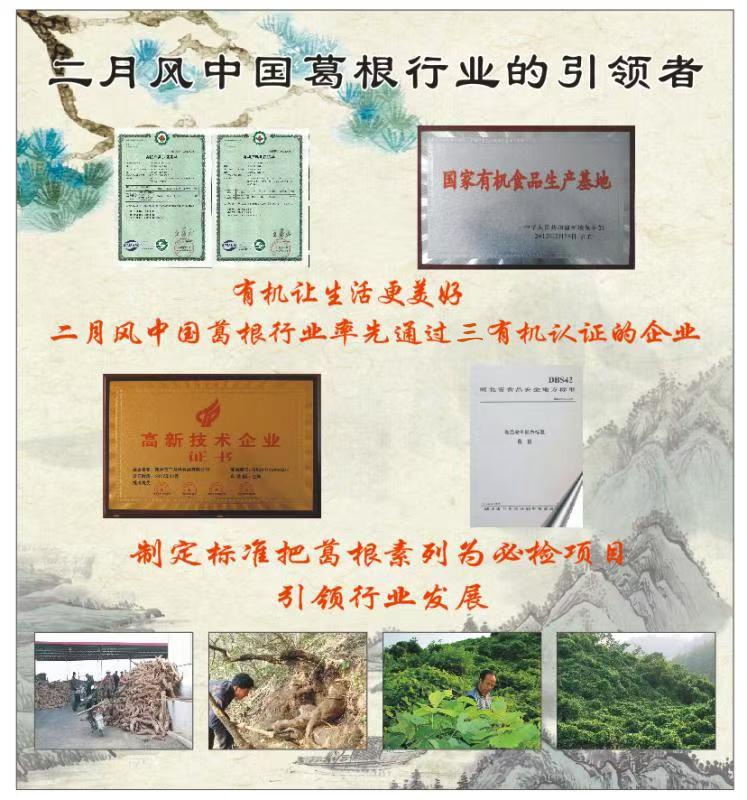 1775615958917907.jpg 二月風(fēng)中國葛根行業(yè)的引領(lǐng)者_(dá)副本.jpg