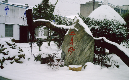 二月風(fēng)致老友：一碗葛根粉的牽掛，農(nóng)博會上的重逢之約二月風(fēng)盼老友：農(nóng)博會上，再續(xù)葛粉情緣